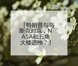特朗普与马斯克对骂，NASA和五角大楼遭殃？