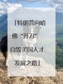特朗普向哈佛“开刀” 自毁美国人才发展之路