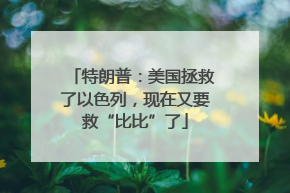 特朗普：美国拯救了以色列，现在又要救“比比”了