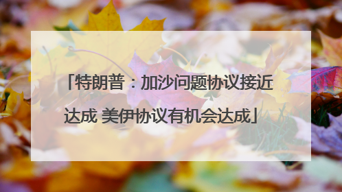 特朗普：加沙问题协议接近达成 美伊协议有机会达成