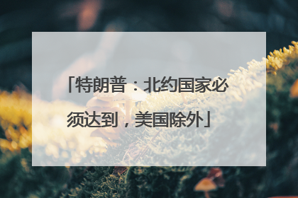 特朗普：北约国家必须达到，美国除外