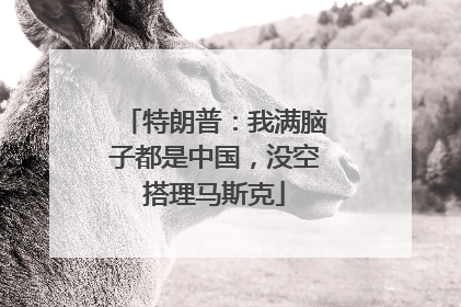 特朗普：我满脑子都是中国，没空搭理马斯克