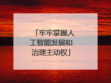 牢牢掌握人工智能发展和治理主动权