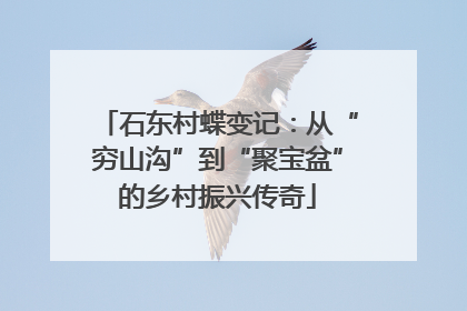 石东村蝶变记：从“穷山沟”到“聚宝盆”的乡村振兴传奇