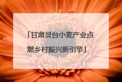 甘肃灵台小麦产业点燃乡村振兴新引擎