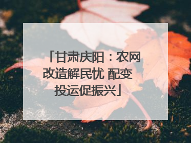 甘肃庆阳：农网改造解民忧 配变投运促振兴