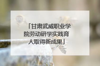 甘肃武威职业学院劳动研学实践育人取得新成果
