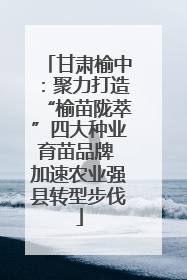 甘肃榆中：聚力打造“榆苗陇萃”四大种业育苗品牌 加速农业强县转型步伐