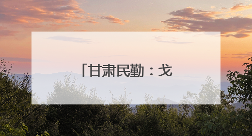 甘肃民勤：戈壁沙乡孕育“甘味”领头羊