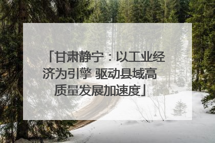 甘肃静宁：以工业经济为引擎 驱动县域高质量发展加速度