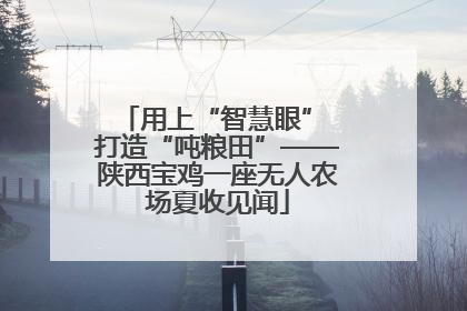 用上“智慧眼” 打造“吨粮田”——陕西宝鸡一座无人农场夏收见闻