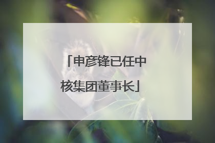 申彦锋已任中核集团董事长