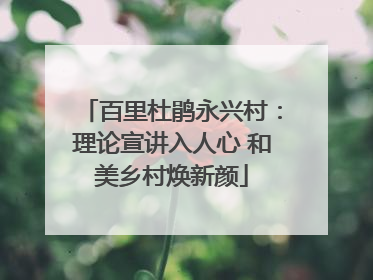 百里杜鹃永兴村：理论宣讲入人心 和美乡村焕新颜