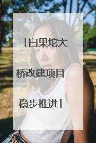 白果坨大桥改建项目稳步推进