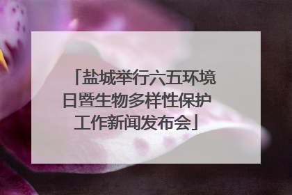 盐城举行六五环境日暨生物多样性保护工作新闻发布会