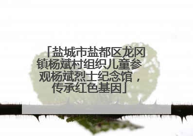 盐城市盐都区龙冈镇杨斌村组织儿童参观杨斌烈士纪念馆，传承红色基因