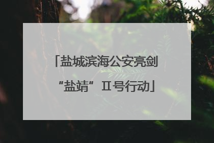 盐城滨海公安亮剑“盐靖”Ⅱ号行动