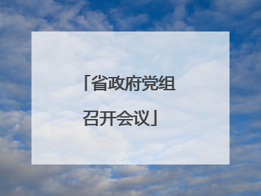 省政府党组召开会议