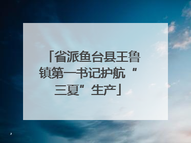 省派鱼台县王鲁镇第一书记护航“三夏”生产