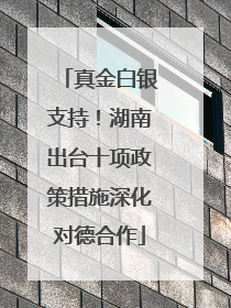真金白银支持！湖南出台十项政策措施深化对德合作