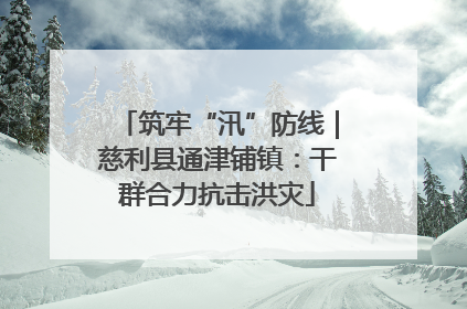 筑牢“汛”防线｜慈利县通津铺镇：干群合力抗击洪灾