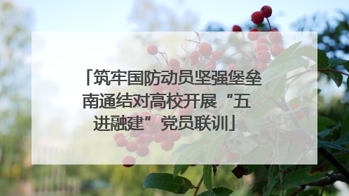 筑牢国防动员坚强堡垒 南通结对高校开展“五进融建”党员联训