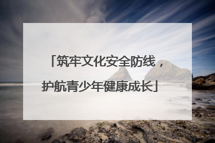 筑牢文化安全防线，护航青少年健康成长