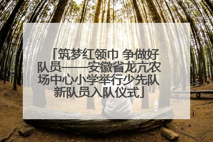 筑梦红领巾 争做好队员——安徽省龙亢农场中心小学举行少先队新队员入队仪式