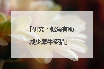 研究：锯角有助减少犀牛盗猎