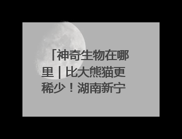 神奇生物在哪里｜比大熊猫更稀少！湖南新宁成功救护濒危鸟类海南鳽