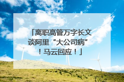 离职高管万字长文谈阿里“大公司病”！马云回应！