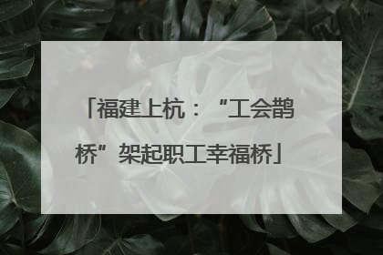 福建上杭：“工会鹊桥”架起职工幸福桥