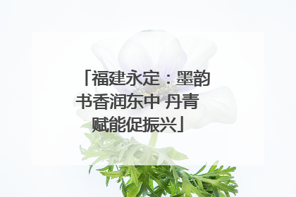 福建永定：墨韵书香润东中 丹青赋能促振兴