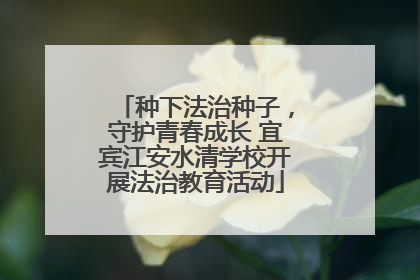 种下法治种子，守护青春成长 宜宾江安水清学校开展法治教育活动