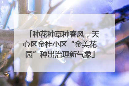 种花种草种春风，天心区金桂小区“金美花园”种出治理新气象