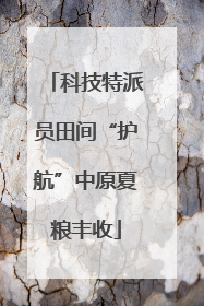 科技特派员田间“护航”中原夏粮丰收