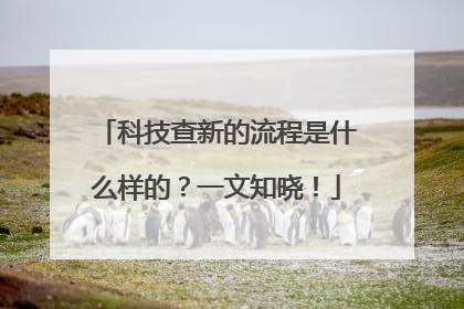 科技查新的流程是什么样的？一文知晓！