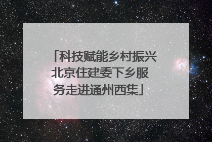 科技赋能乡村振兴 北京住建委下乡服务走进通州西集