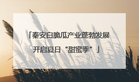 秦安白脆瓜产业蓬勃发展 开启夏日“甜蜜季”