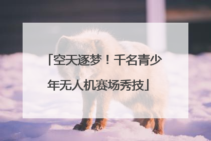 空天逐梦！千名青少年无人机赛场秀技