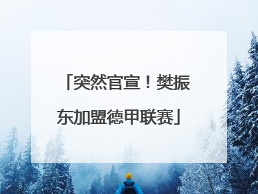 突然官宣！樊振东加盟德甲联赛