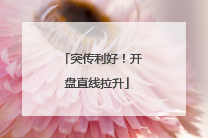突传利好！开盘直线拉升