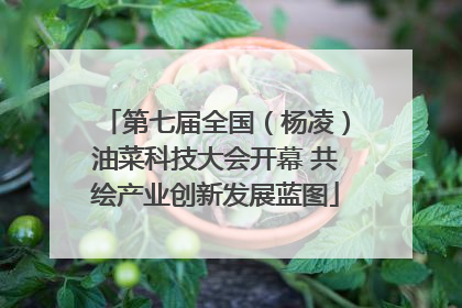 第七届全国（杨凌）油菜科技大会开幕 共绘产业创新发展蓝图