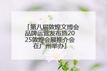 第八届敦煌文博会品牌运营发布暨2025敦煌会展推介会在广州举办