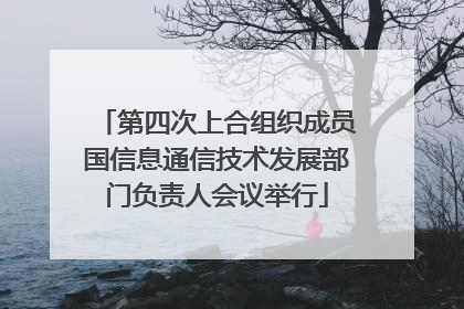 第四次上合组织成员国信息通信技术发展部门负责人会议举行