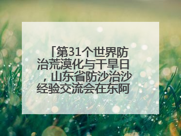 第31个世界防治荒漠化与干旱日，山东省防沙治沙经验交流会在东阿县举办