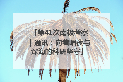 第41次南极考察｜通讯：向着暗夜与深海的科研坚守
