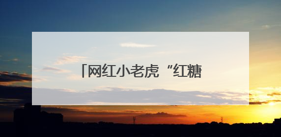 网红小老虎“红糖”将暂停展出？上海动物园：展区改建，会安排展出计划