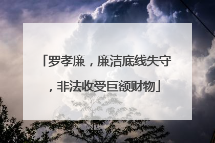 罗孝廉，廉洁底线失守，非法收受巨额财物