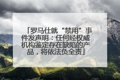 罗马仕就“禁用”事件发声明：任何经权威机构鉴定存在缺陷的产品，将依法负全责